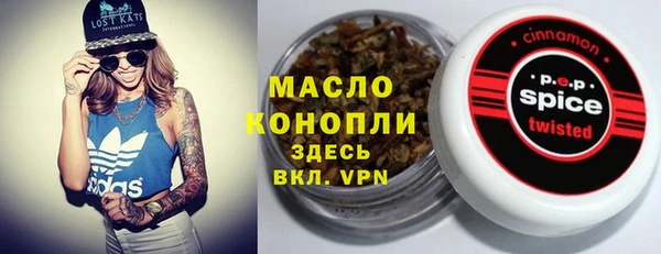 крисы Алзамай